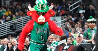 La mascotte des bulls version Saint-Patrick