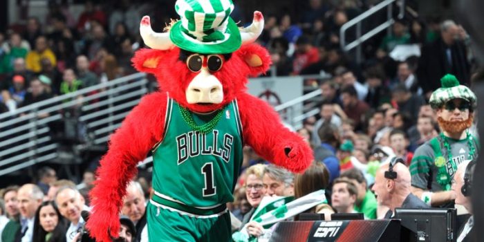 La mascotte des bulls version Saint-Patrick